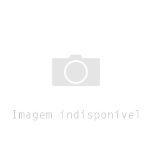 CARCAÇA FILTRO AR COM TAMPA ALTA 124 SÉRIE 4/5 - SCANIA - 1387542 - 1